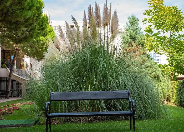 Menada In Royal * Napospart